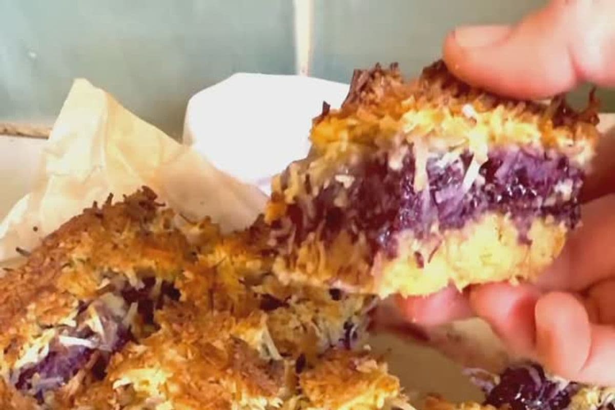 Mixed Berry and Coconut Slice